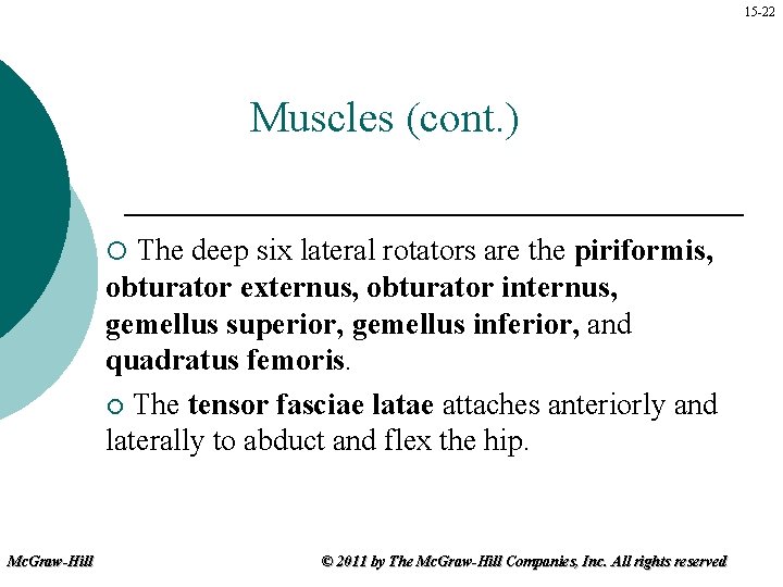15 -22 Muscles (cont. ) The deep six lateral rotators are the piriformis, obturator