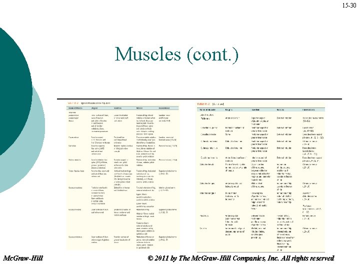 15 -30 Muscles (cont. ) Mc. Graw-Hill © 2011 by The Mc. Graw-Hill Companies,