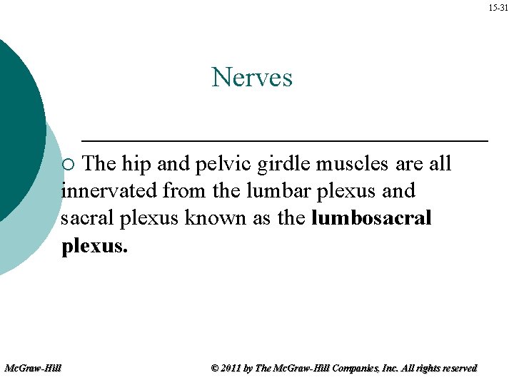 15 -31 Nerves The hip and pelvic girdle muscles are all innervated from the
