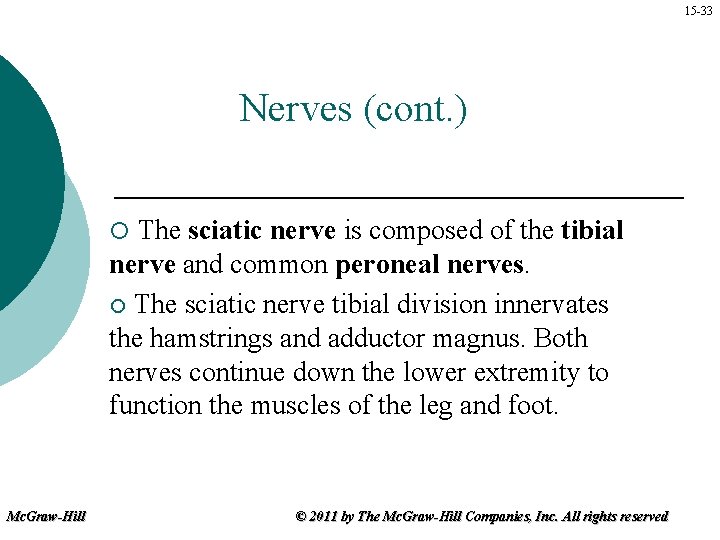 15 -33 Nerves (cont. ) The sciatic nerve is composed of the tibial nerve