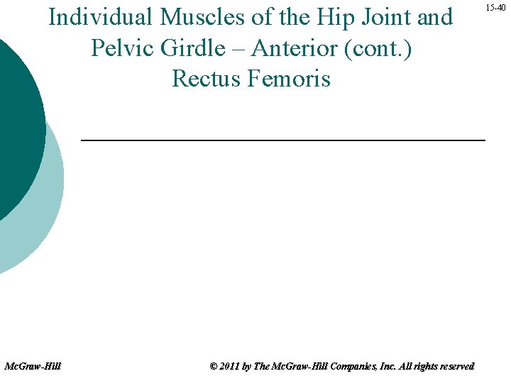 Individual Muscles of the Hip Joint and Pelvic Girdle – Anterior (cont. ) Rectus