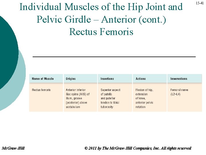 Individual Muscles of the Hip Joint and Pelvic Girdle – Anterior (cont. ) Rectus