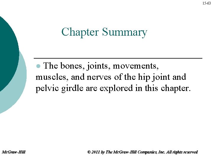 15 -63 Chapter Summary The bones, joints, movements, muscles, and nerves of the hip