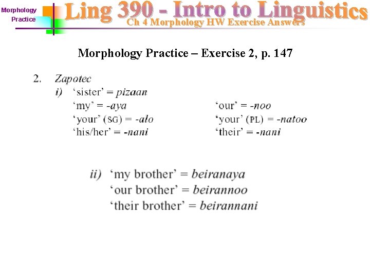 Morphology Practice Ch 4 Morphology HW Exercise Answers Morphology Practice – Exercise 2, p.