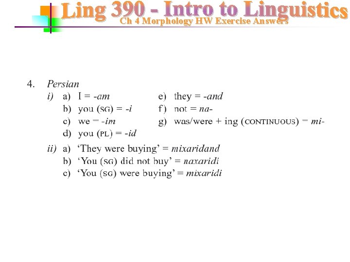 Ch 4 Morphology HW Exercise Answers 