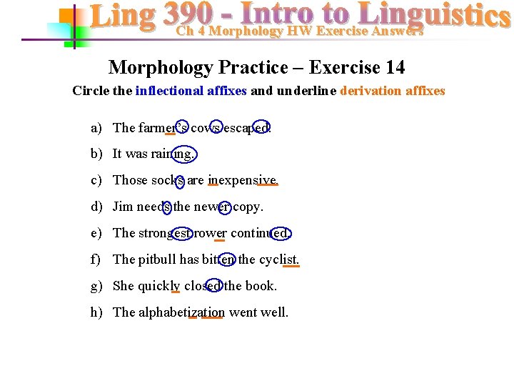 Ch 4 Morphology HW Exercise Answers Morphology Practice – Exercise 14 Circle the inflectional