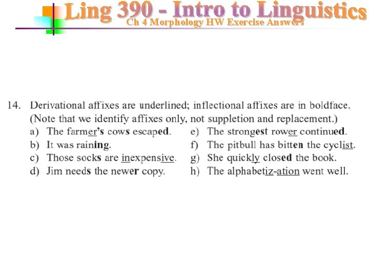 Ch 4 Morphology HW Exercise Answers 