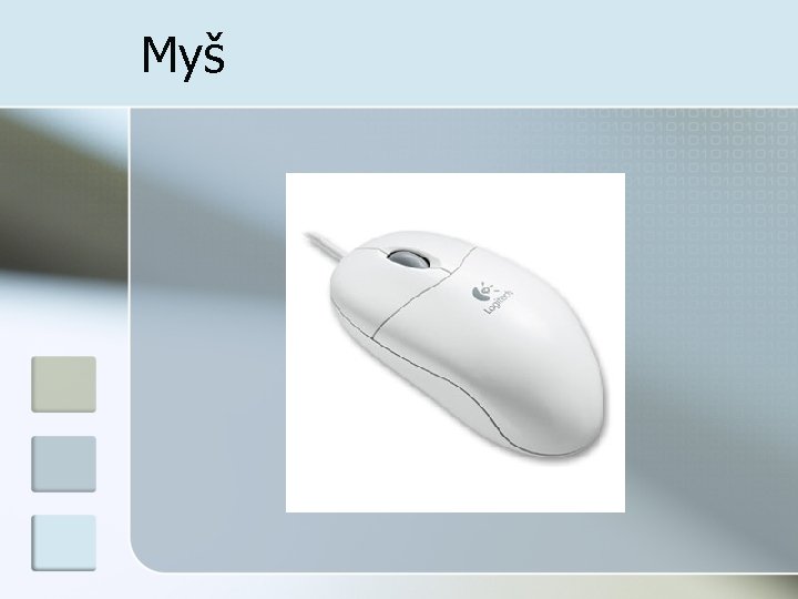 Myš 