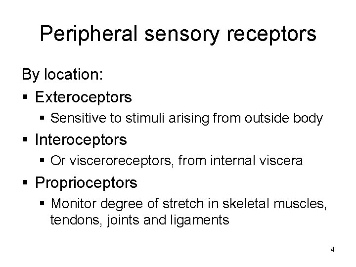 Peripheral sensory receptors By location: § Exteroceptors § Sensitive to stimuli arising from outside