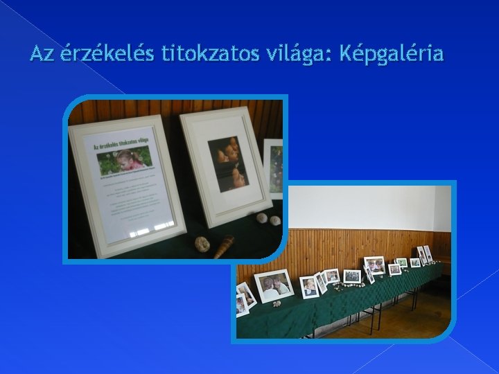 Az érzékelés titokzatos világa: Képgaléria 