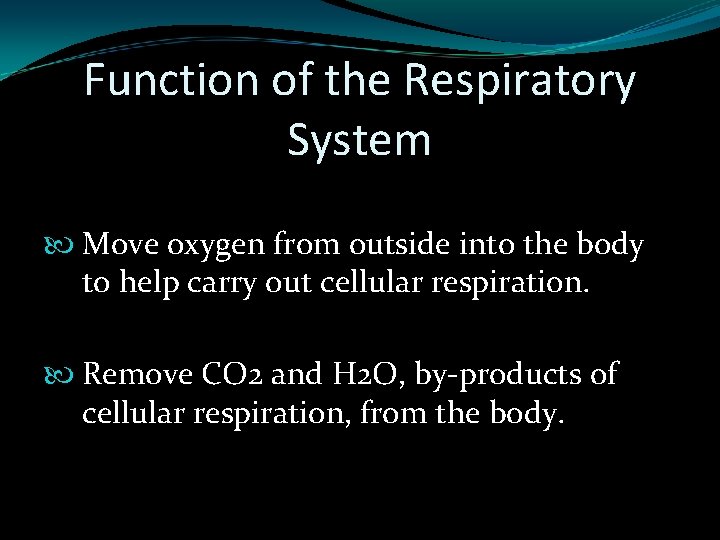 Function of the Respiratory System Move oxygen from outside into the body to help