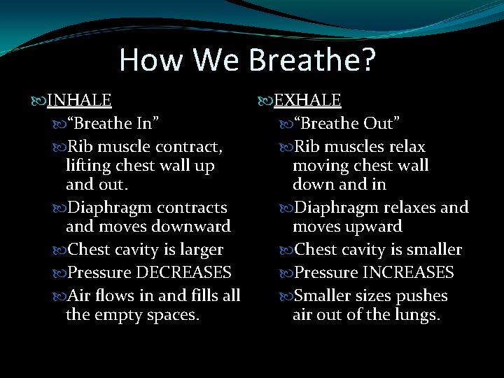 How We Breathe? INHALE EXHALE “Breathe In” “Breathe Out” Rib muscle contract, Rib muscles