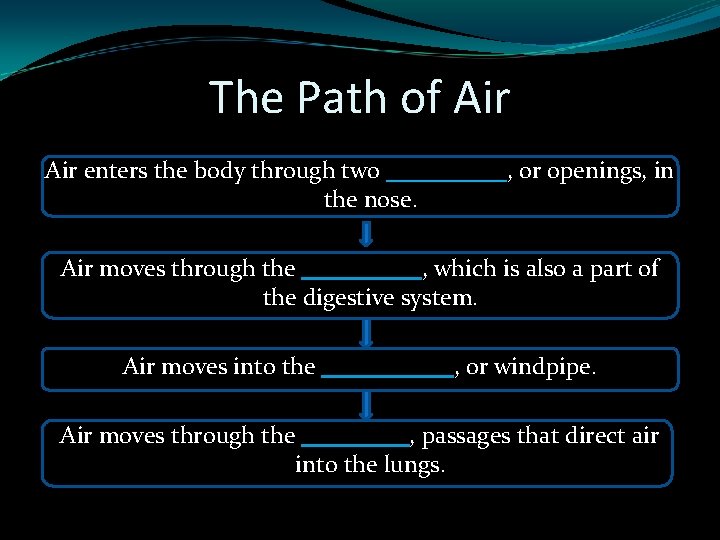 The Path of Air enters the body through two _____, or openings, in the