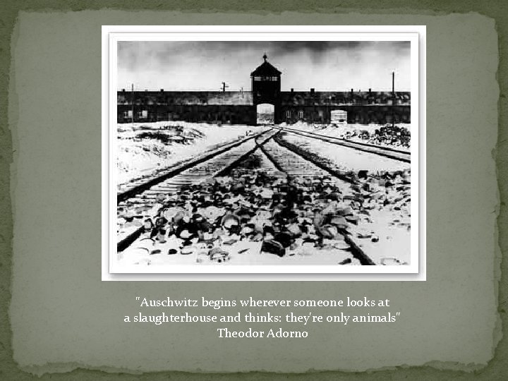 "Auschwitz begins wherever someone looks at a slaughterhouse and thinks: they're only animals" Theodor