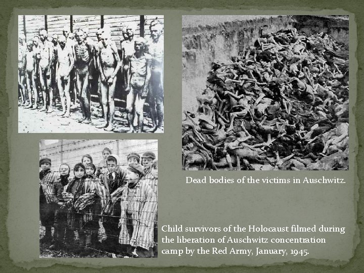 Dead bodies of the victims in Auschwitz. Child survivors of the Holocaust filmed during