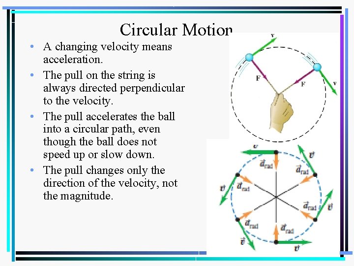 Circular Motion • A changing velocity means acceleration. • The pull on the string