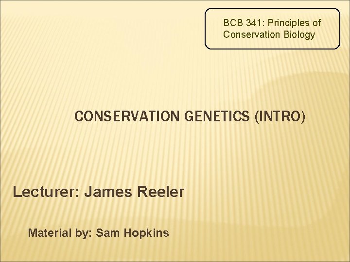BCB 341: Principles of Conservation Biology CONSERVATION GENETICS (INTRO) Lecturer: James Reeler Material by: