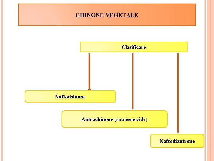 CHINONE VEGETALE Clasificare Naftochinone Antrachinone (antracenozide) Naftodiantrone 