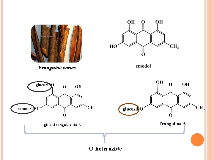 Frangulae cortex O-heterozide Frangulae cortex O-heterozide
