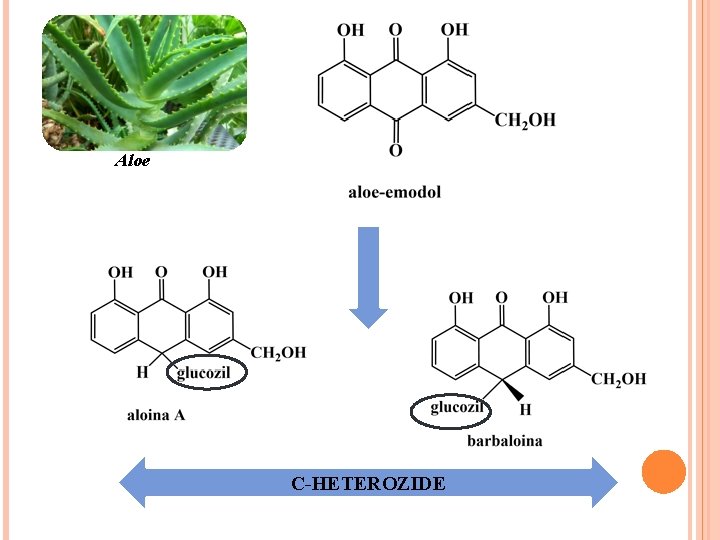 Aloe C-HETEROZIDE 