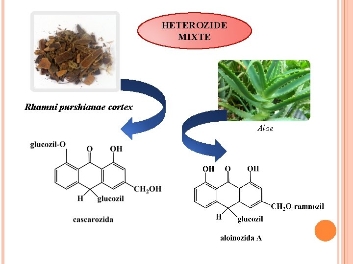 HETEROZIDE MIXTE Rhamni purshianae cortex Aloe 