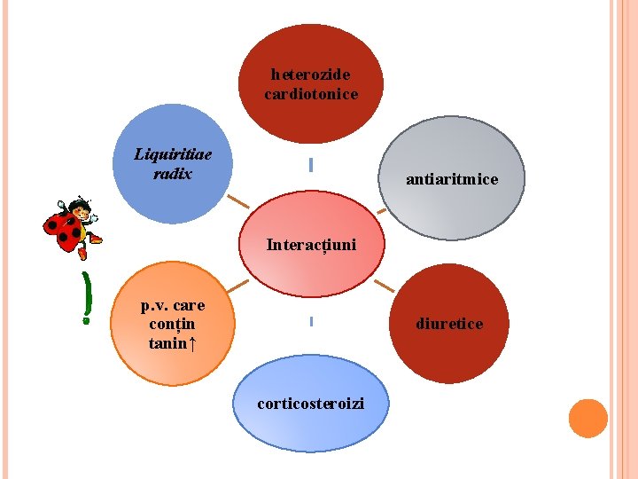 heterozide cardiotonice Liquiritiae radix antiaritmice Interacțiuni p. v. care conțin tanin↑ diuretice corticosteroizi heterozide cardiotonice Liquiritiae radix antiaritmice Interacțiuni p. v. care conțin tanin↑ diuretice corticosteroizi