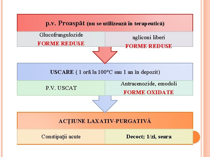 p. v. Proaspăt (nu se utilizează în terapeutică) Glucofrangulozide FORME REDUSE agliconi liberi FORME p. v. Proaspăt (nu se utilizează în terapeutică) Glucofrangulozide FORME REDUSE agliconi liberi FORME