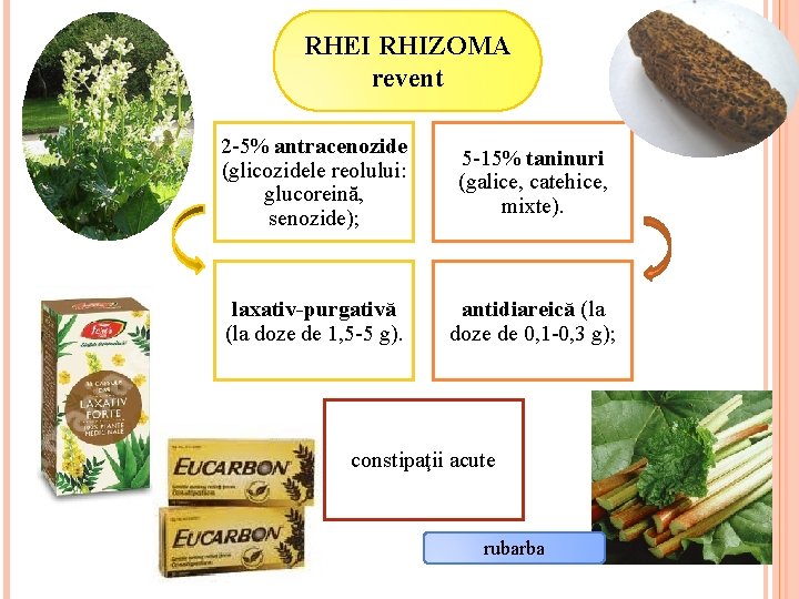 RHEI RHIZOMA revent 2 -5% antracenozide (glicozidele reolului: glucoreină, senozide); 5 -15% taninuri (galice,