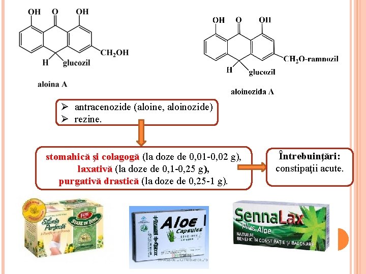 Ø antracenozide (aloine, aloinozide) Ø rezine. stomahică şi colagogă (la doze de 0, 01 Ø antracenozide (aloine, aloinozide) Ø rezine. stomahică şi colagogă (la doze de 0, 01