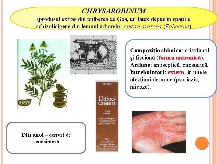 CHRYSAROBINUM (produsul extras din pulberea de Goa, un latex depus în spaţiile schizolisigene din