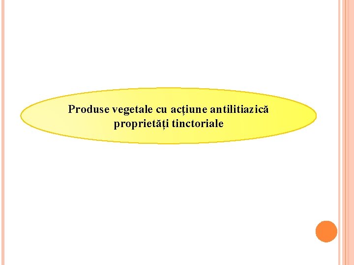 Produse vegetale cu acțiune antilitiazică proprietăți tinctoriale 