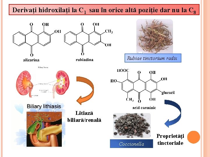 Derivați hidroxilați la C 1 sau în orice altă poziție dar nu la C Derivați hidroxilați la C 1 sau în orice altă poziție dar nu la C