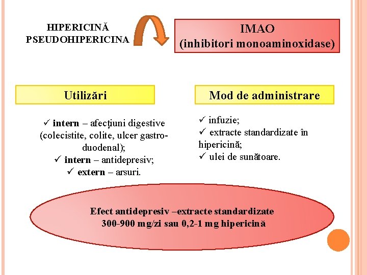 HIPERICINĂ PSEUDOHIPERICINA Utilizări ü intern – afecțiuni digestive (colecistite, colite, ulcer gastroduodenal); ü intern HIPERICINĂ PSEUDOHIPERICINA Utilizări ü intern – afecțiuni digestive (colecistite, colite, ulcer gastroduodenal); ü intern