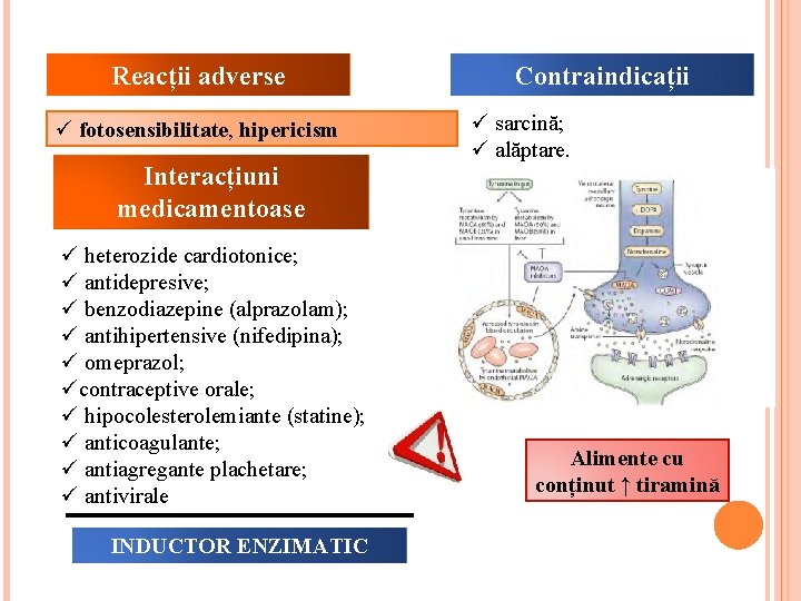 Reacții adverse ü fotosensibilitate, hipericism Interacțiuni medicamentoase ü heterozide cardiotonice; ü antidepresive; ü benzodiazepine