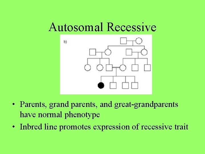 Autosomal Recessive • Parents, grand parents, and great-grandparents have normal phenotype • Inbred line