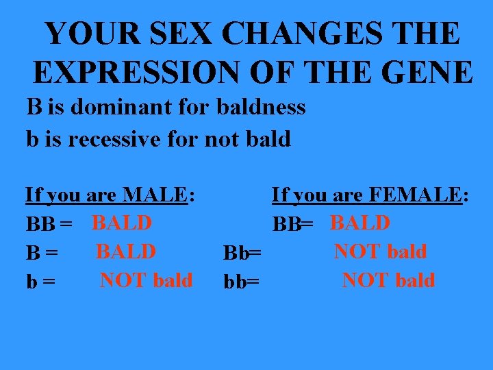 YOUR SEX CHANGES THE EXPRESSION OF THE GENE B is dominant for baldness b