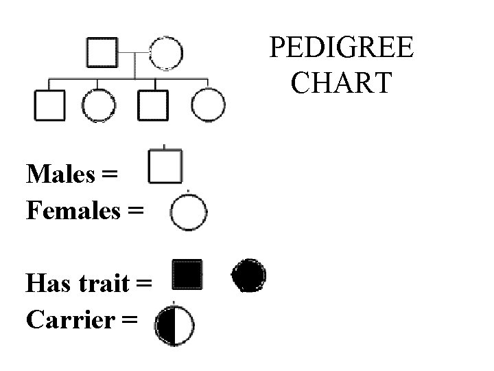PEDIGREE CHART Males = Females = Has trait = Carrier = 