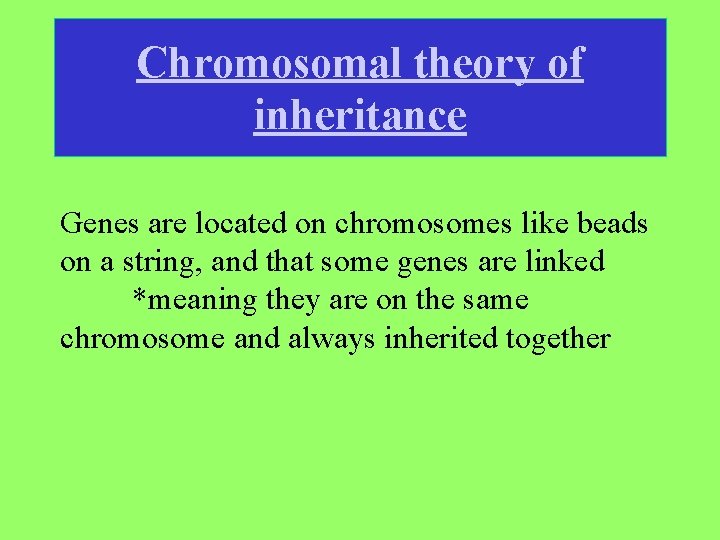 Chromosomal theory of inheritance Genes are located on chromosomes like beads on a string,