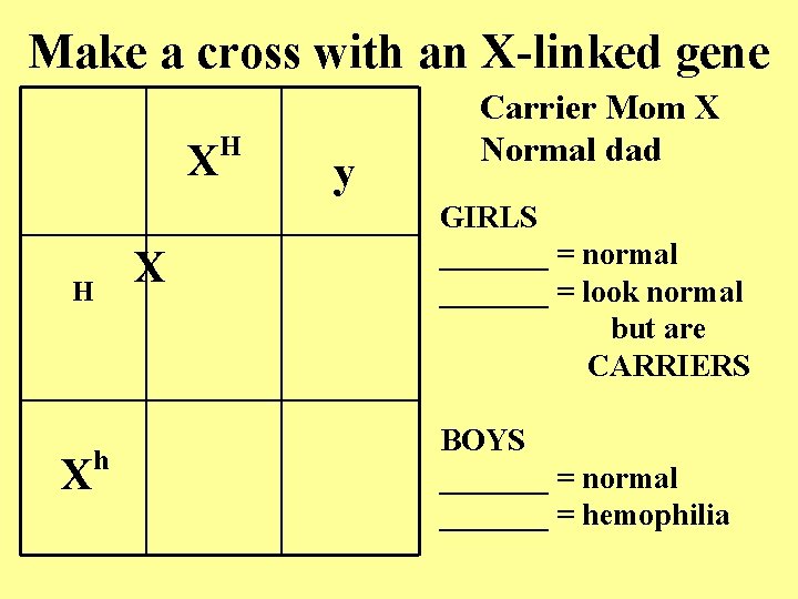 Make a cross with an X-linked gene X X H X h H y
