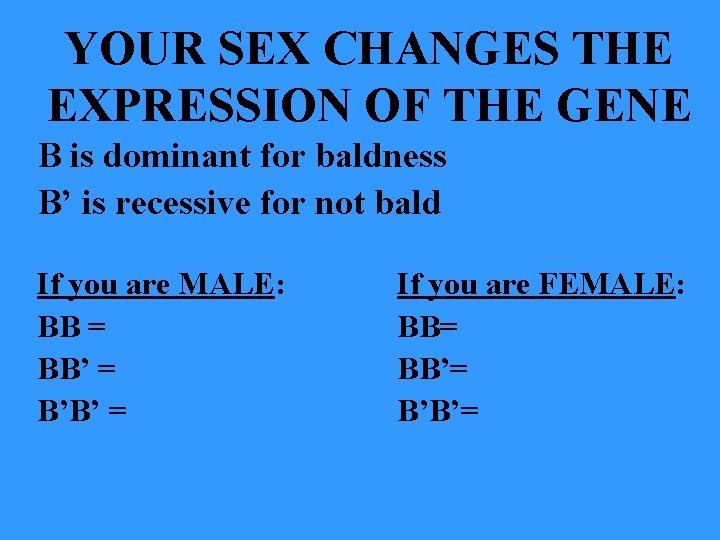 YOUR SEX CHANGES THE EXPRESSION OF THE GENE B is dominant for baldness B’