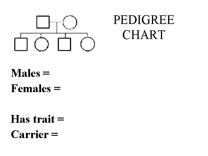 PEDIGREE CHART Males = Females = Has trait = Carrier = 