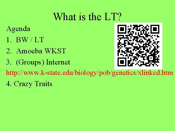 What is the LT? Agenda 1. BW / LT 2. Amoeba WKST 3. (Groups)