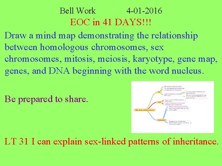 Bell Work 4 -01 -2016 EOC in 41 DAYS!!! Draw a mind map demonstrating