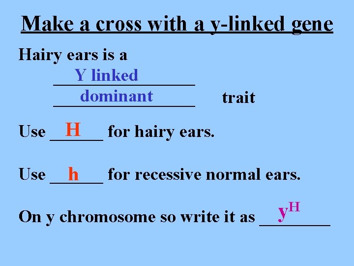 Make a cross with a y-linked gene Hairy ears is a Y linked ________