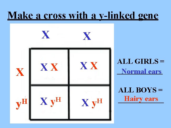 Make a cross with a y-linked gene X X y. H X X X