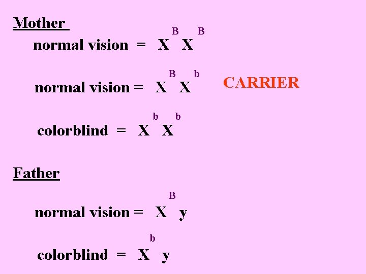 Mother B B normal vision = X X B b CARRIER normal vision =