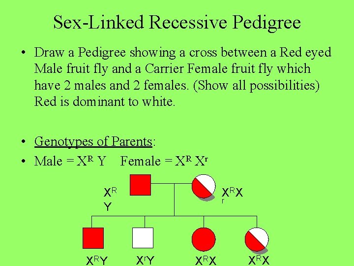 Sex-Linked Recessive Pedigree • Draw a Pedigree showing a cross between a Red eyed