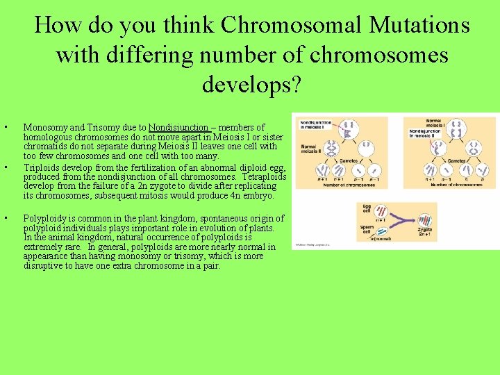 How do you think Chromosomal Mutations with differing number of chromosomes develops? • •