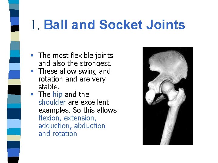 1. Ball and Socket Joints § The most flexible joints and also the strongest.