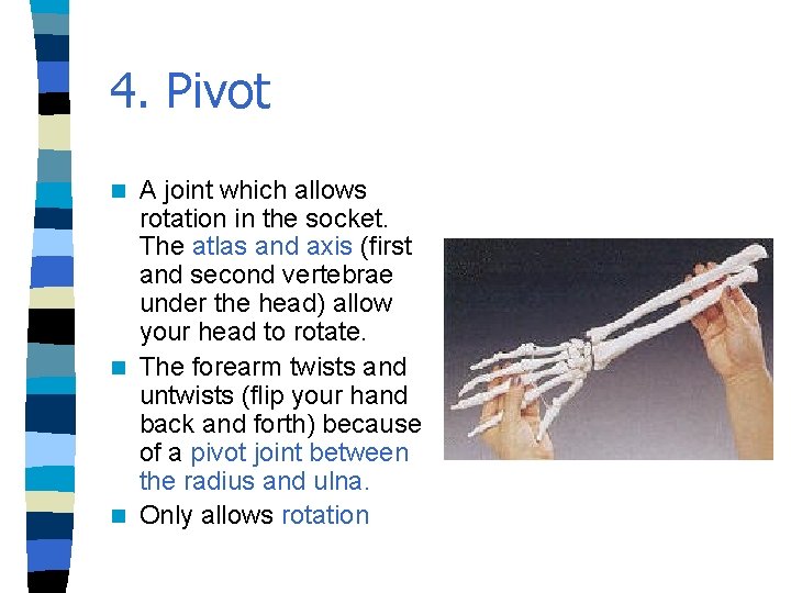 4. Pivot A joint which allows rotation in the socket. The atlas and axis